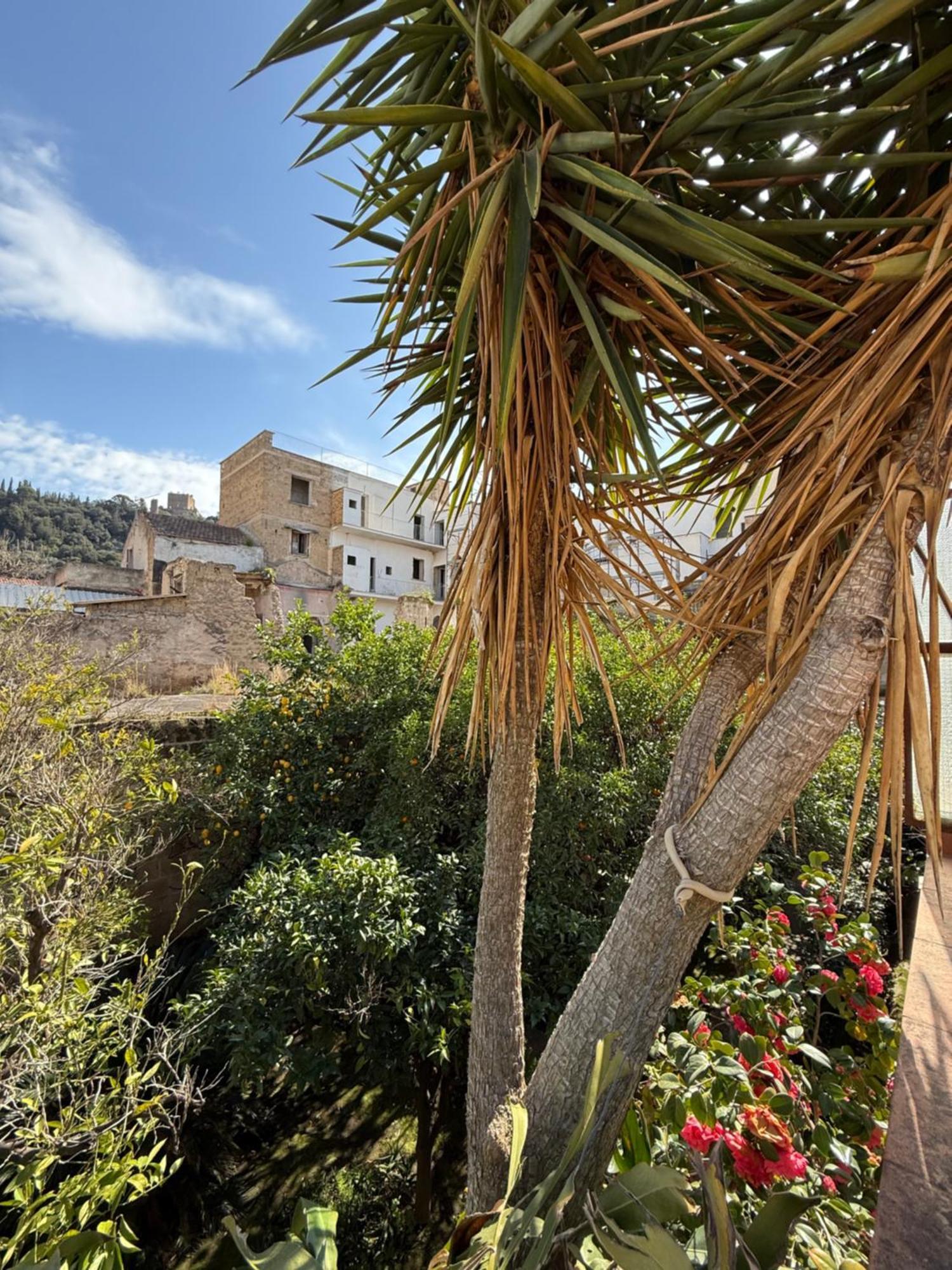 Apartamento La Lanciolla Maddaloni Exterior foto