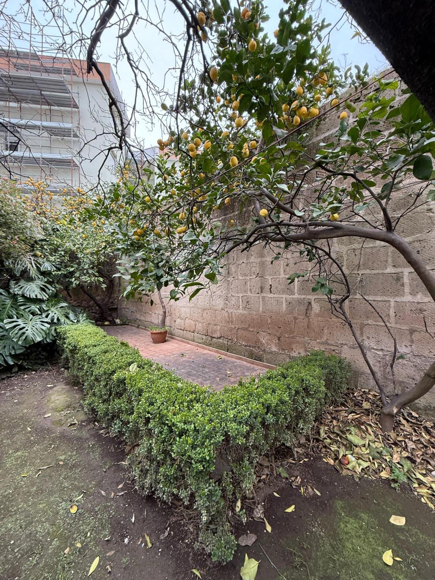 Apartamento La Lanciolla Maddaloni Exterior foto